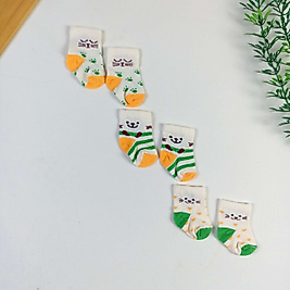 3 Parça Yeni Doğan Çorap Seti - Sweet Cat