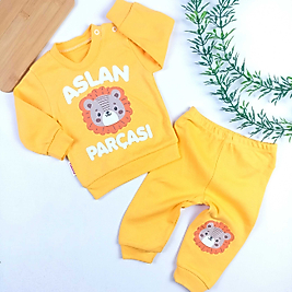 Aslan Parçası Penye Takım