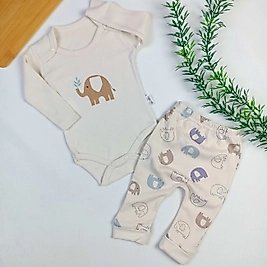 Elephant Badili Takım